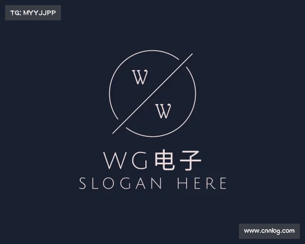 了解WG电子